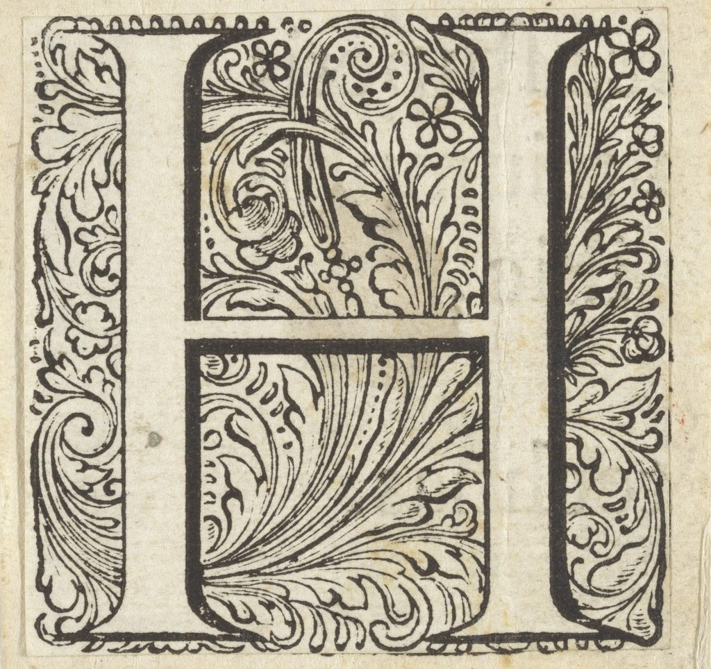 An capital H, with a stylized plant/floral background. 